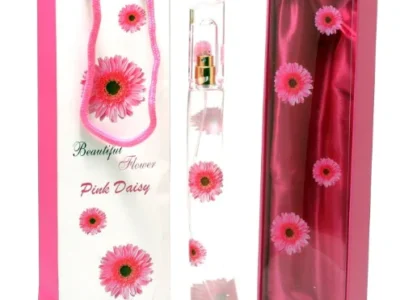 Beautiful Flower Pink Daisy