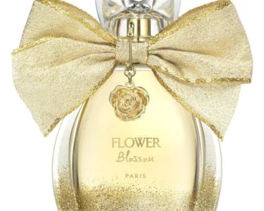 Flower Blossom by Gemina B.